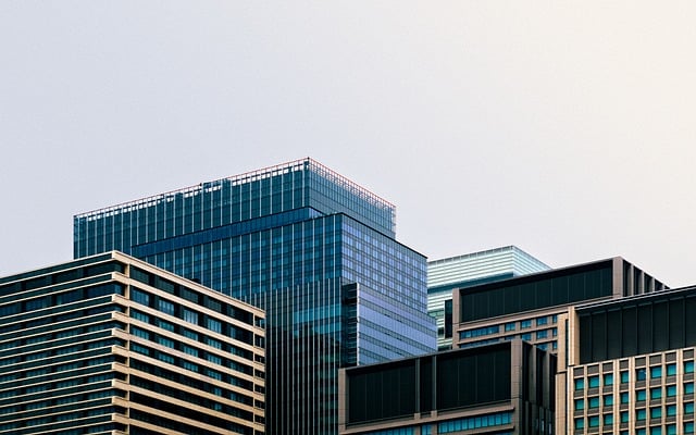 小鱼易连最新版下载后有什么变化，我试了跟你说说感受